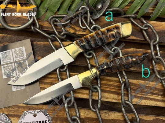 Stainless steel Blade Skinners