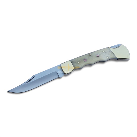 Stainless Steel Folding Knife